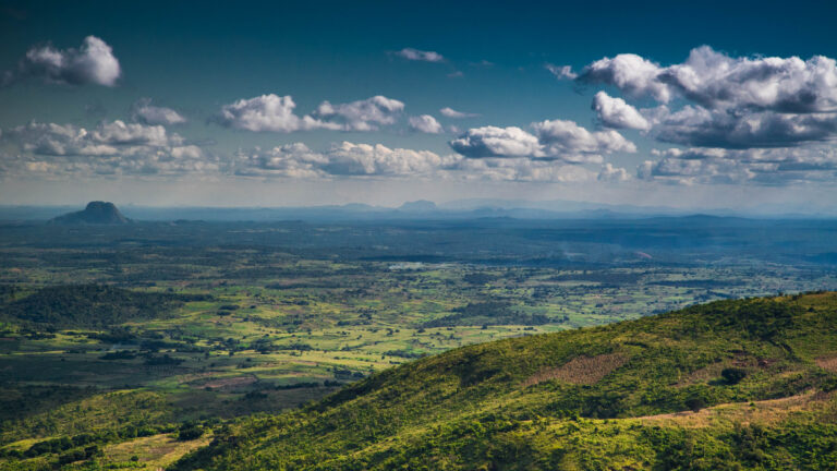 Gorongosa Mountain_Naskrecki