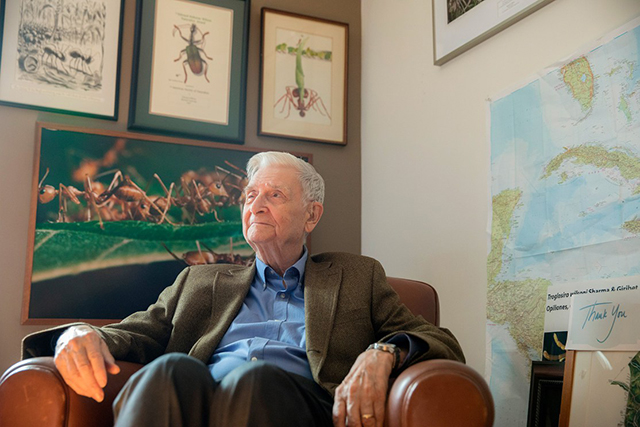 Image of E.O. Wilson sitting in a chair in front of ant images.
